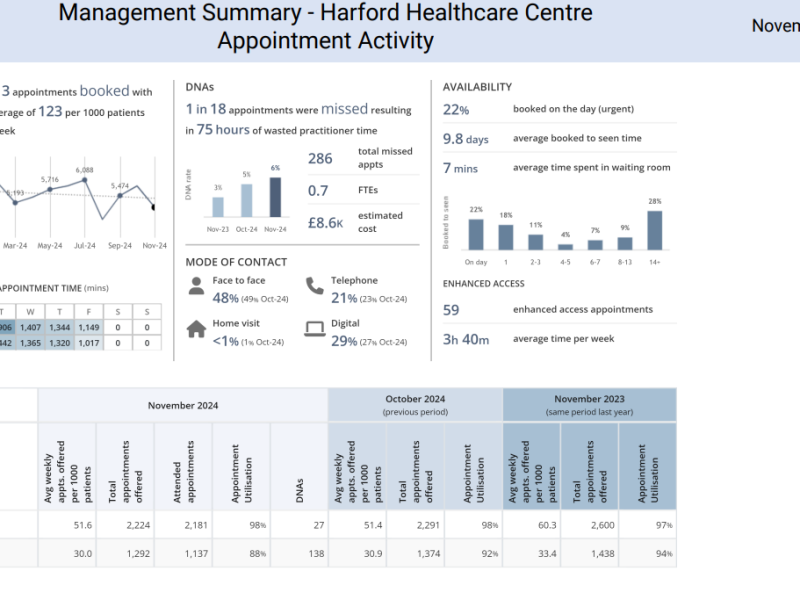 Summary of Appointment Activity for November 2024